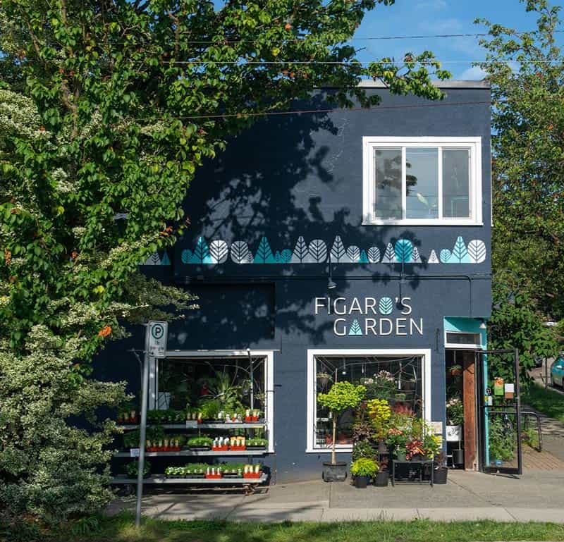 Figaro's Garden Plant Store East Vancouver