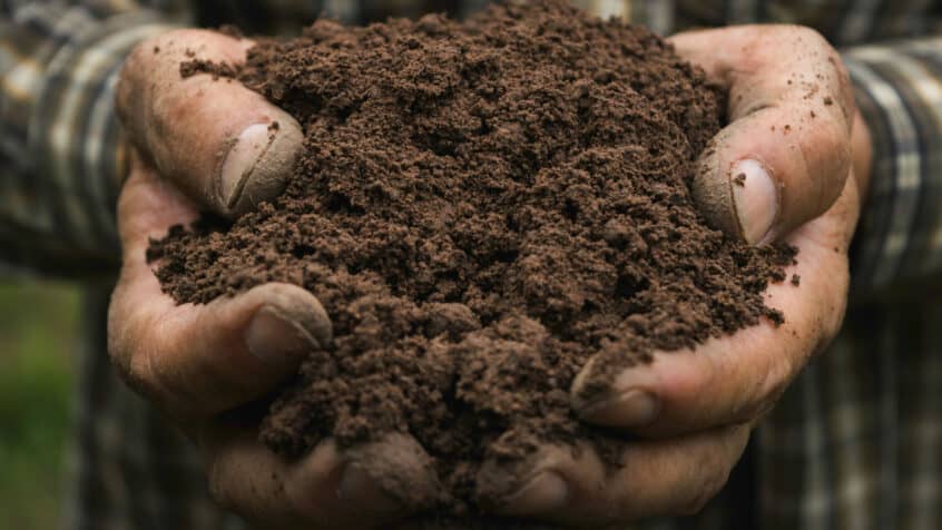 A close up of hands holding rich dark soil