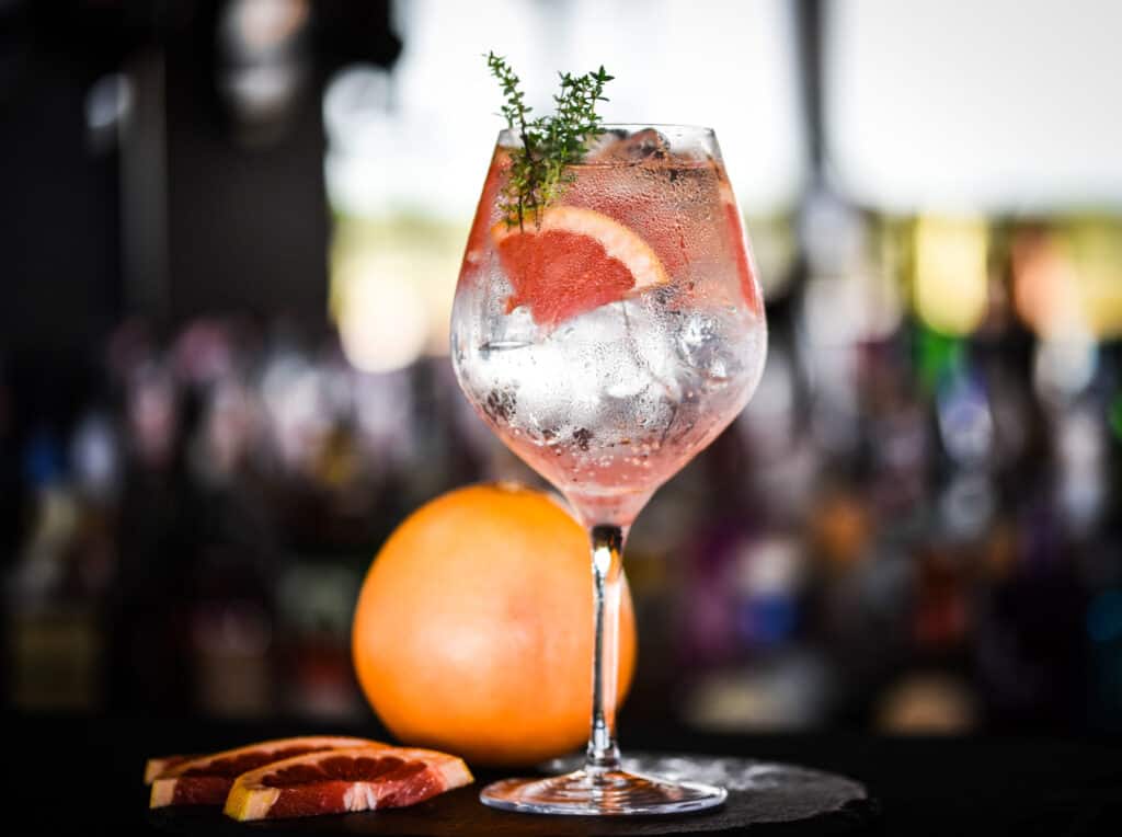 gin tonic with slices of fresh grapefruit