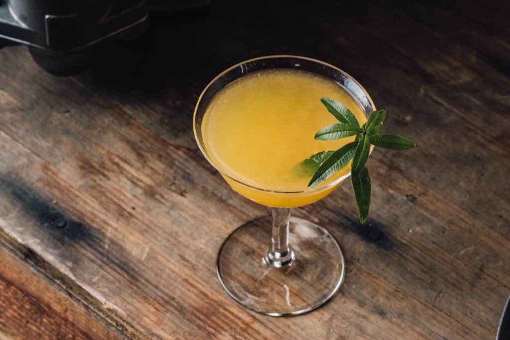 A lemon verbena sprig adorns a citrusy cocktail in a martini glass