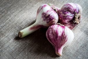purple striped garlic cloves on a canvas background