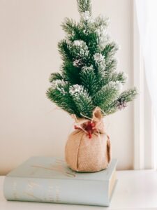 A mini evergreen tree decorated for Christmas and wrapped in burlap around the root ball