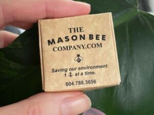 Fingers hold a box of mason bee cocoons. The box reads: The Mason Bee Company .com